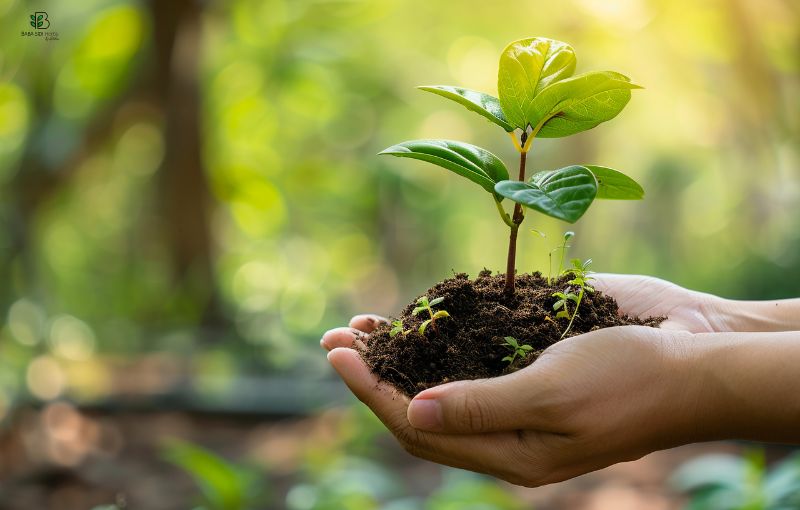 Ethical Sourcing Partnerships