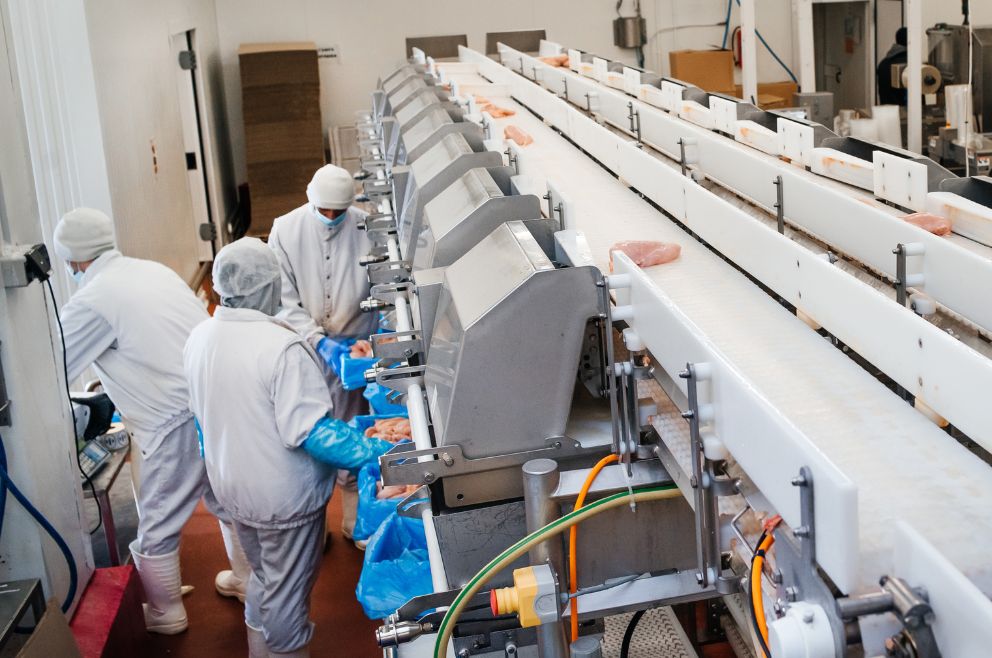 Production and Processing