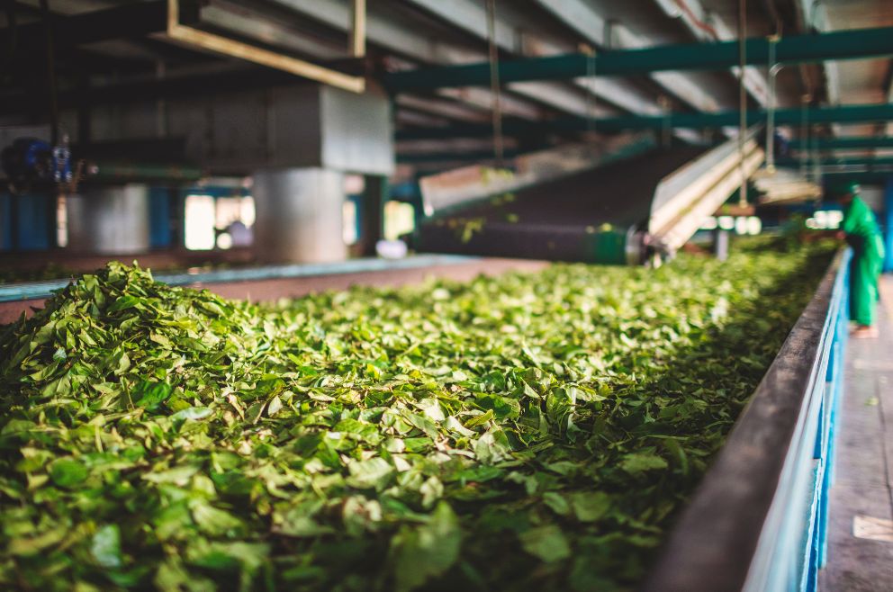 factory – BABA SIDI HERBS